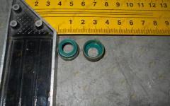 Колпачок маслосъёмный d=10 (Euro 3) VG1540040016